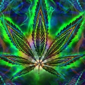 Meet your Posher, Chip